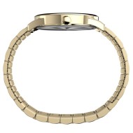 Timex Easy Reader Gold 40mm Expansion Band Watch TW2W52000