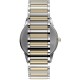 Christies Jewellery - Timex Easy Reader Two-Tone 40mm Expansion Band Watch TW2W52100 Watches Auckland NZ Timex Easy Reader Two-Tone 40mm Expansion Band Watch TW2W52100 TW2W52100 Timex Watches NZ- Christies Jewellery Online and Auckland - Free Delivery - Afterpay, Laybuy and Zip the easy way to pay