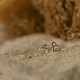 Evolve Mini Heart Paua Stud Earrings Close-up of Evolve Mini Heart Paua Stud Earrings featuring a silver heart design with vibrant paua shell accents.