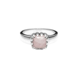Stolen Baby Claw Ring in Rose Quartz - JWL2052R