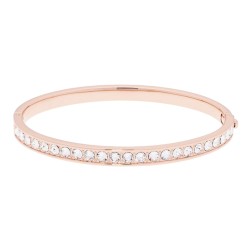 Claudia : Ted Baker Classic Crystal Bangle TBJ4062-24-02