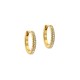 HEPLIE: Crystal Hoop Earrings (14mm) TBJ3749-02-02 by Ted Baker