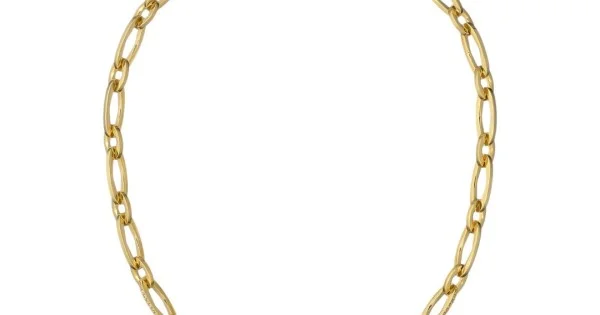 SHIYA Ted Baker Crystal Encrusted Link Chain Necklace TBJ4045-02