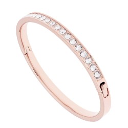 Claudia : Ted Baker Classic Crystal Bangle TBJ4062-24-02