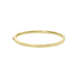 Ted Baker CHRISHELL Logo Slim Bangle Bracelet | TBJ4180-02-03
