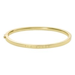 Ted Baker CHRISHELL Logo Slim Bangle Bracelet | TBJ4180-02-03